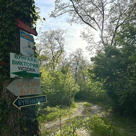 Camping мишел